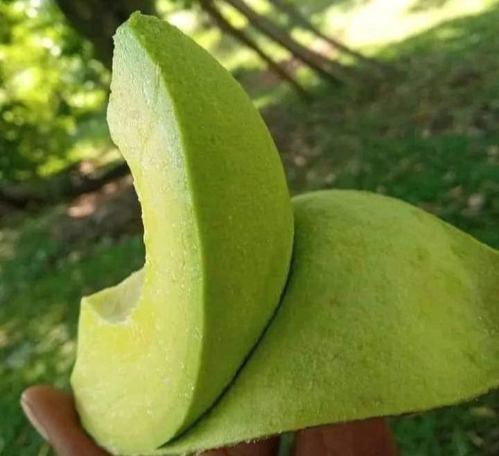 Aivilo Home Entebbe Dış mekan fotoğraf
